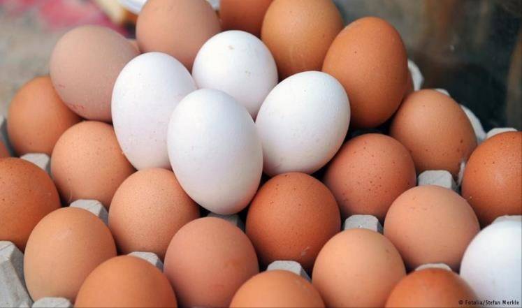 لا تضع البيض في باب الثلاجة.. إليكَ أفضل طريقة لحفظه