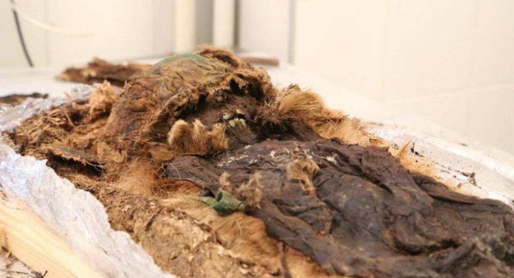 العثور على مومياء عمرها أكثر من 1700 سنة في الصين