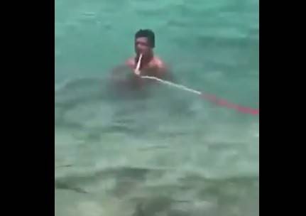 بالفيديو.. 