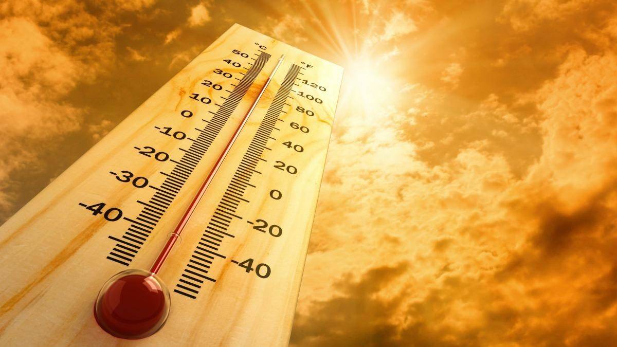 الحرارة 40 درجة.. هذا ما عليك فعله!