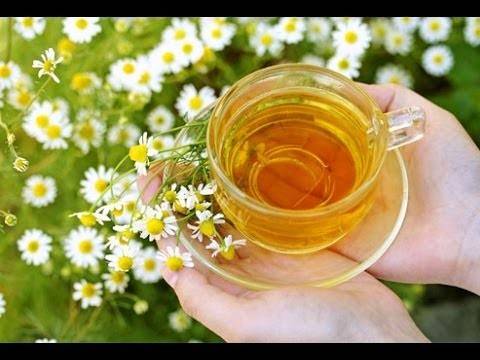تهدئ الأعصاب وتعالج الاكتئاب.. فوائد مذهلة للأعشاب