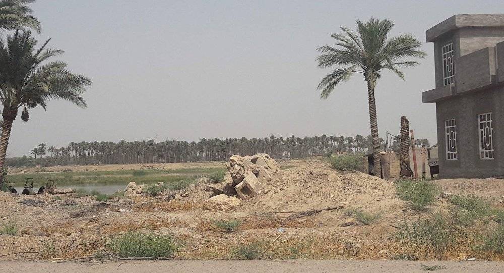 عشرات المصابين بغاز سام في غرب العراق