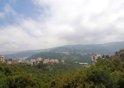 ماذا جرى في داريا-كسروان ليلا؟