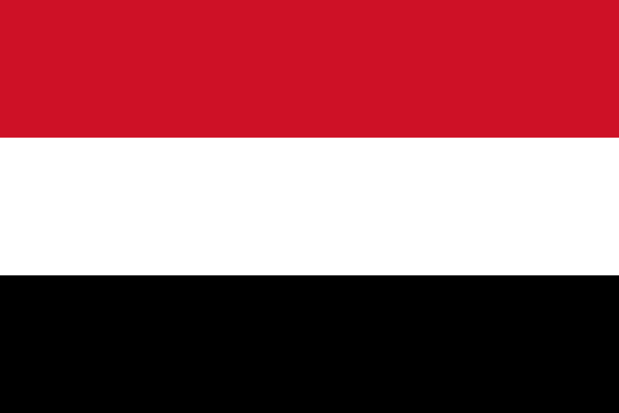 المبعوث الأممي إلى اليمن: على السياسيين أن يدركوا أن قطار السلام لم يرحل بعد (العربية)