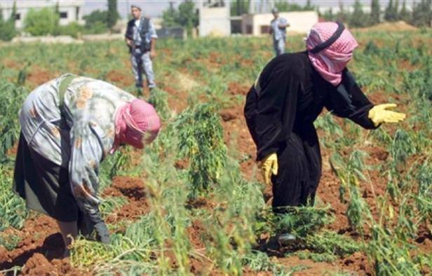 مزارعو الهرمل ناشدوا تأمين المياه للمنطقة