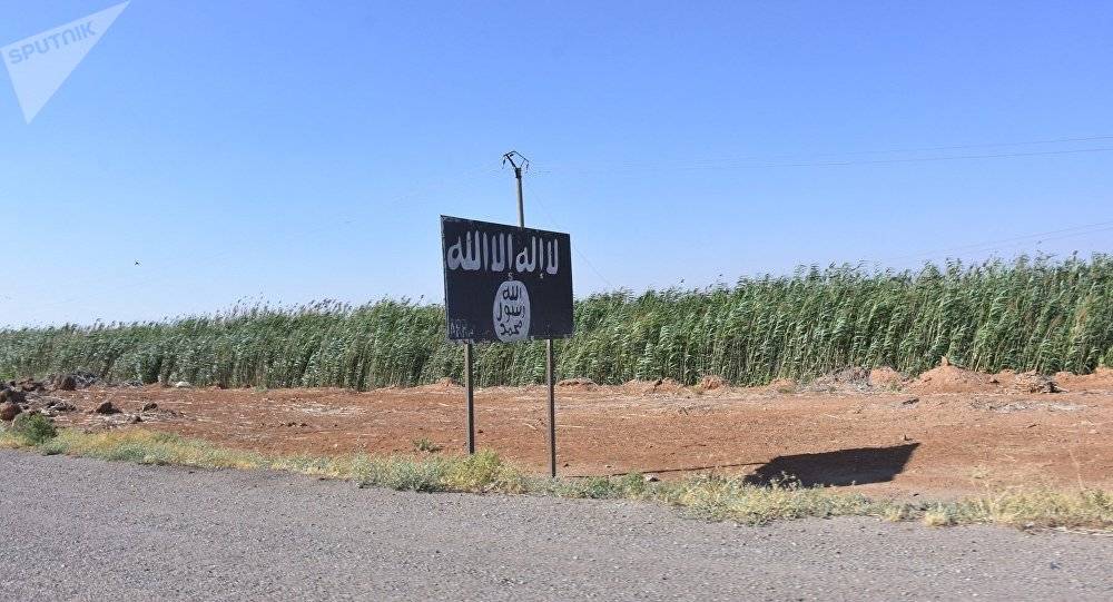 الجيش السوري يحرر أكثر من 40 منصة نفط في الرقة