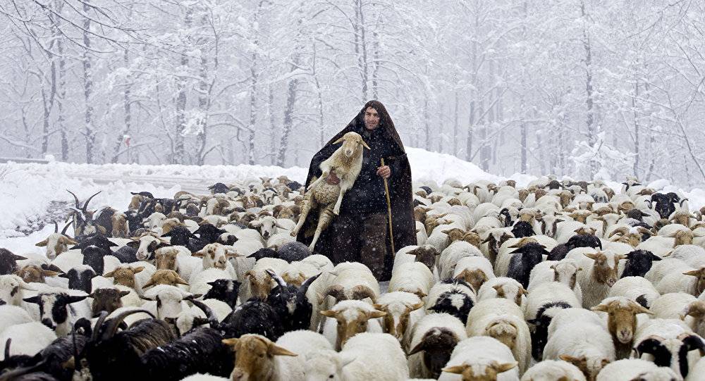 أكثر عمل ممل في تاريخ السينما... فيلم من 8 ساعات دون ممثلين أو حوار