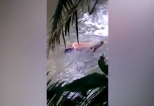 قتله قبل يوم وسحب جثته لقاع النهر.. شاهد كيف أعاد جثمان غريق!