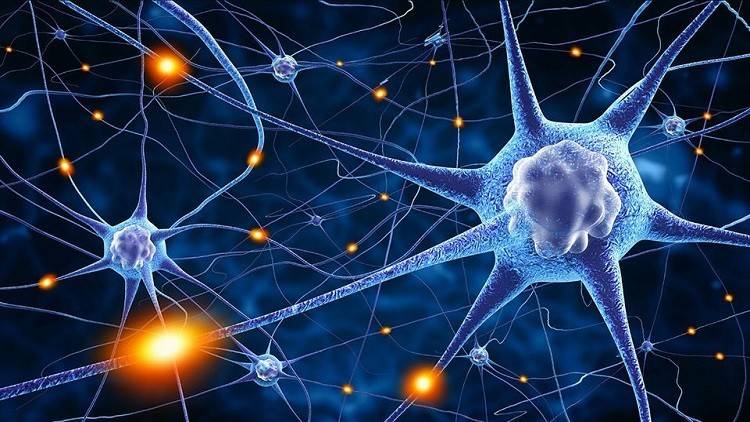 إطالة العمر في المستقبل قد تصبح ممكنة!
