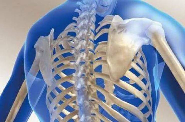 هذه الأطعمة قادرة على أن تجدد عظامكم وتحسّن نظركم وذاكرتكم بنسبة 70%