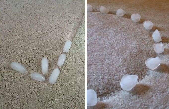 لهذا السبب غير المتوقع.. ضعوا مكعبات الثلج على السجادة!