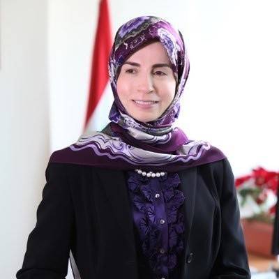 عز الدين: شهداء لبنان في الاغتراب يدفعون حياتهم لأجل لقمة العيش