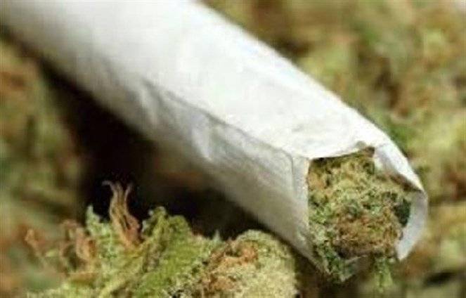 دراسة صادمة جديدة عن مخاطر الحشيش!