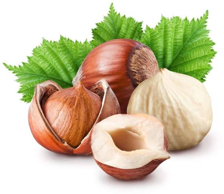 6 فوائد مذهلة للبندق.. ما هي؟