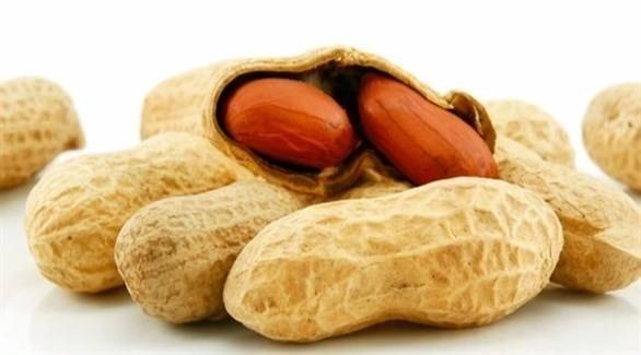 البروبيوتك يعالج الحساسية ضد المكسرات لدى الأطفال!