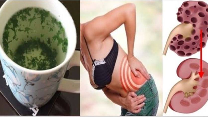 وصفة طبيعية لتنظيف الكلى!