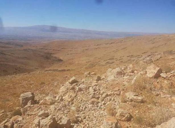 حزب الله حرر 87 كيلومترا مربعا من المساحة التي يسيطر عليها داعش