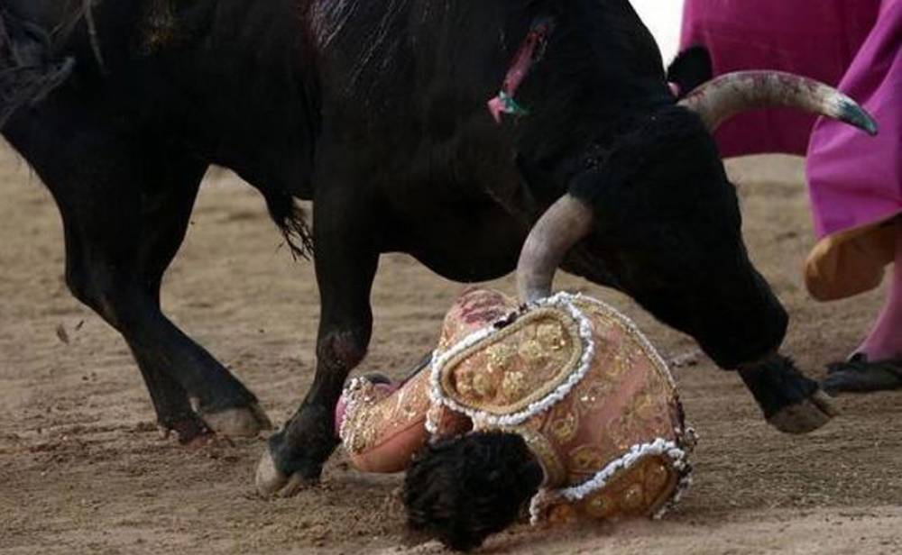 ثور يرفع الماتادور المكسيكي بقرنه
