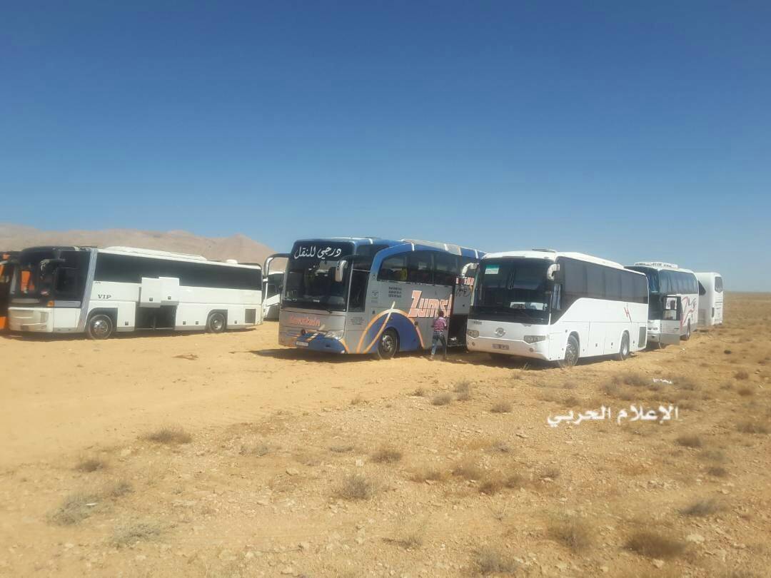 بالصور.. تجمّع الحافلات التي ستقل مسلحي "داعش" في جرود القلمون