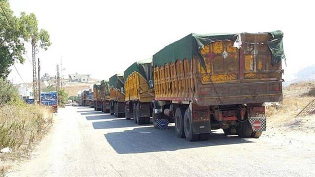 تهريب من نوع آخر بين لبنان وسوريا
