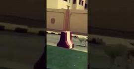 بالفيديو.. خروف يهرب من الذبح في العيد إلى داخل وحدة عسكرية!