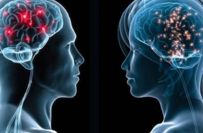 تعرفوا إلى الفرق الرئيسي بين دماغي المرأة والرجل