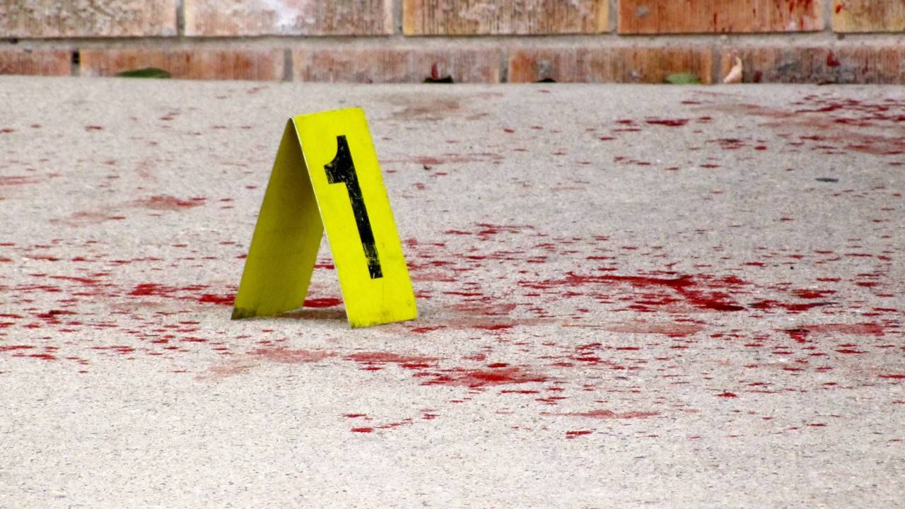 جريمة رومية المروعة بالتفاصيل.. شنقه بالمرحاض بسبب صوره المنافية