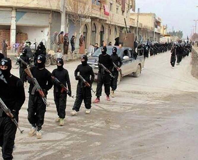 معلومات عن مقتل 3 من مخيم عين الحلوة اثناء قتالهم لجانب الارهابيين بسوريا