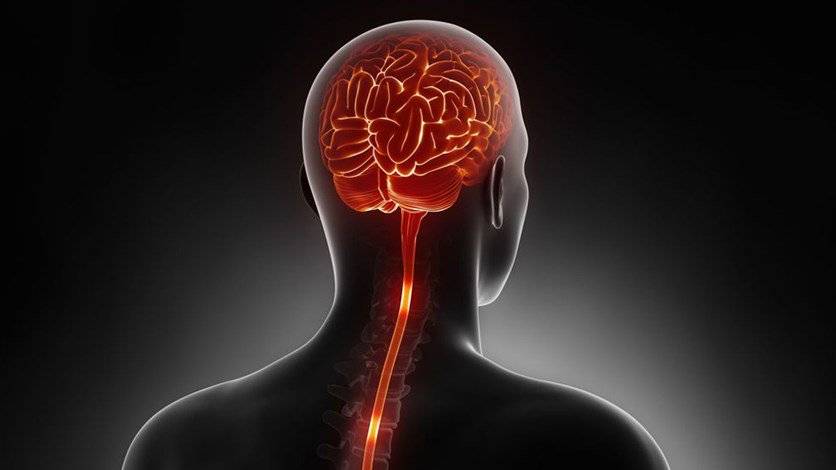 اليكم عوارض ظهور الأورام في أجزاء مختلفة من الجهاز العصبي المركزي...