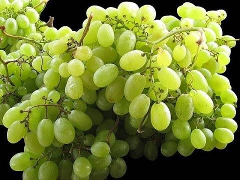 ما هي فوائد العنب الأخضر؟