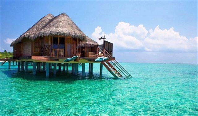 Bali..أيقونة السياحة الإندونيسية تجذب زوارا من نوع آخر
