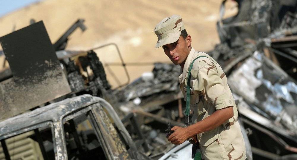 بعد ضبط خلية خطيرة.. برلماني مصري: العمليات الإرهابية تراجعت "كماً وكيفاً"