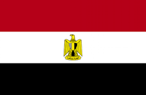 مقتل عشرة من عناصر الشرطة المصرية بينهم ضابط في كمين استهدف مركباتهم غرب مدينة العريش شمال سيناء