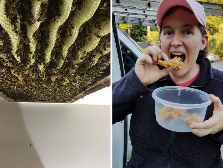 بالفيديو: بعد سماعها أصواتاً غريبة في بيتها..ما اكتشفته صادم!!