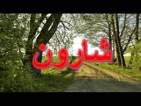 أهالي بلدة شارون يناشدون  اخماد الحريق المندلع من الصباح