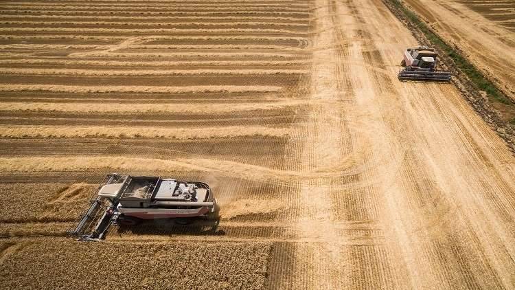 موسكو توضح سبب إلغاء صفقة قمح مع دمشق