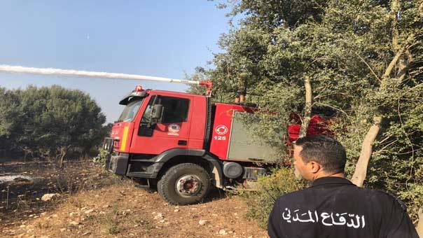 حريق في حلبا قضى على مساحة من اشجار الزيتون