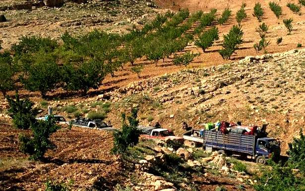 اهالي عرسال يتسلمون اليوم ارزاقهم في الجرود