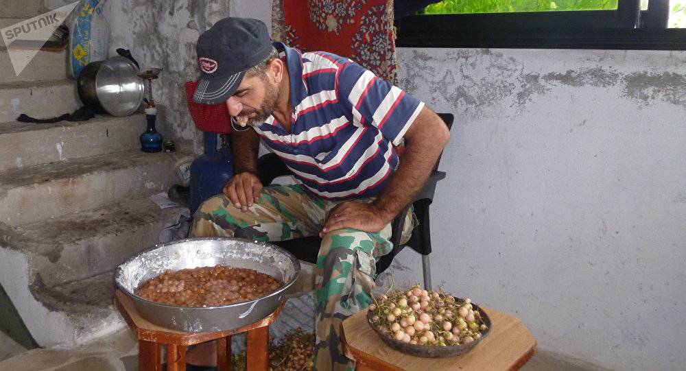 عائلة سورية: هكذا دفعتنا الحرب لانتظار الطيور المهاجرة