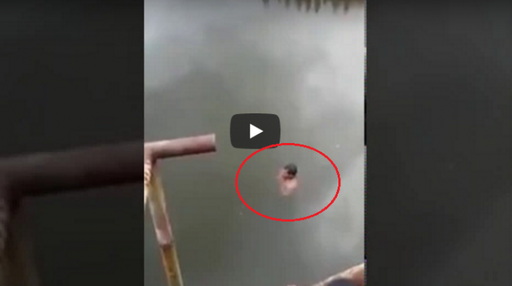 ادعى أن قوى خارقة ستحميه من التماسيح..لكن نهايته كانت مروعّة!