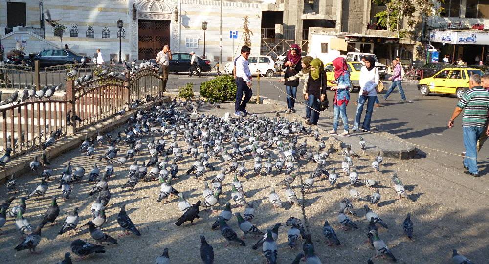 فارون في تركيا ينتظرون المصالحة السورية للعودة