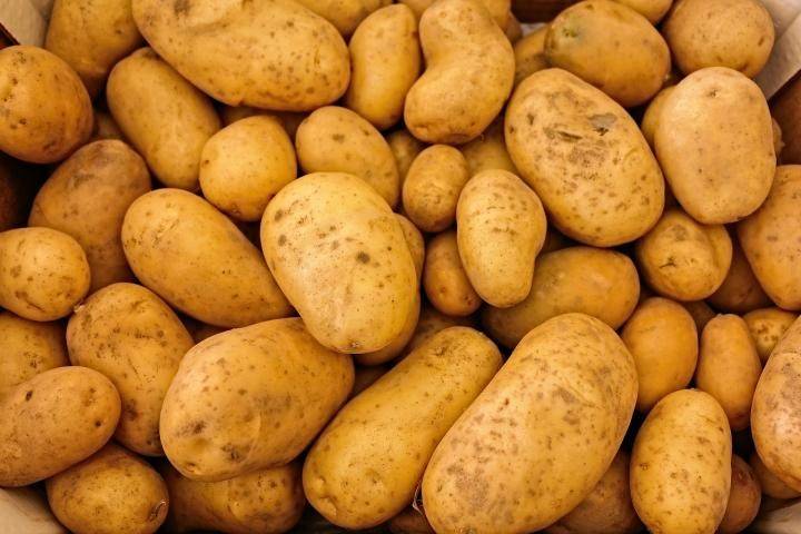 هل يمكن البقاء على قيد الحياة بأكل البطاطا وحدها؟