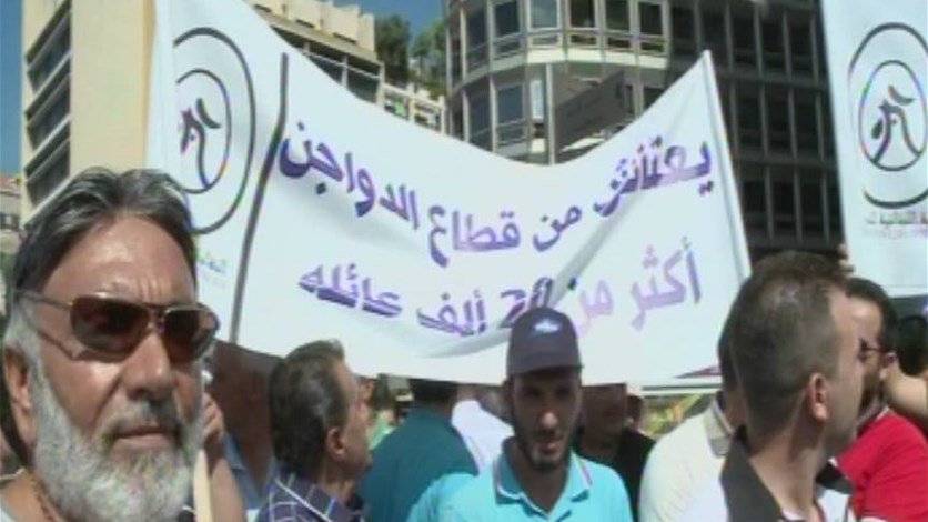 نقابة الدواجن تطالب برفع الرسوم الجمركية على الفروج المجلد