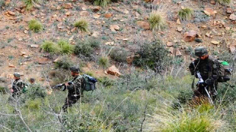 الجزائر.. مقتل إرهابيين اثنين في عمليتين منفصلتين للجيش