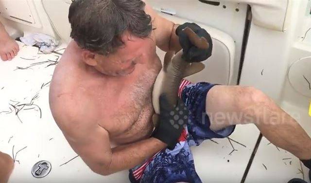 بالفيديو:  سمكة قرش أمسكت ببطن رجل