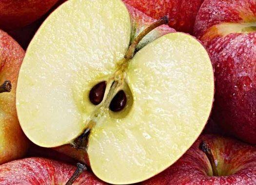 هل بذور التفاح ضارّة أم مفيدة؟