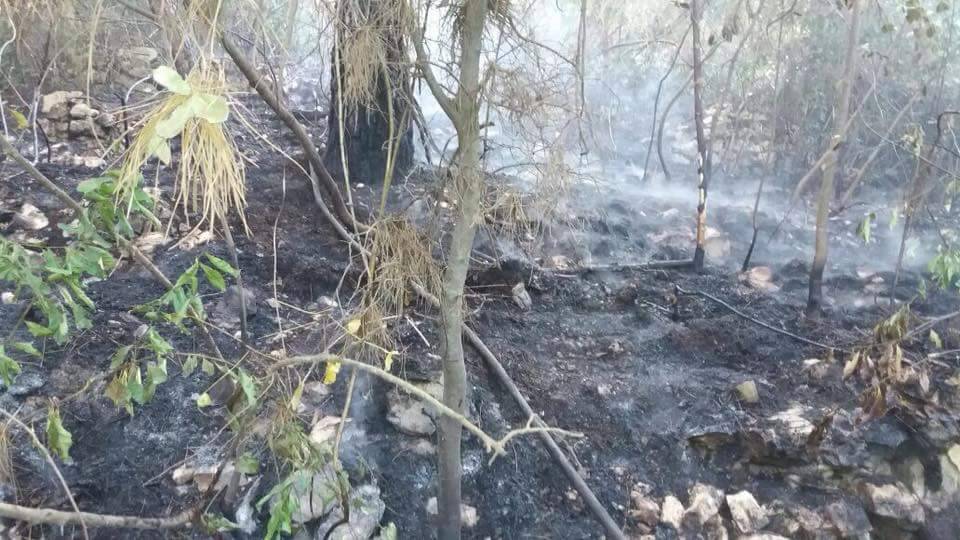 الدفاع المدني أخمد حريقا في المرادية كسروان