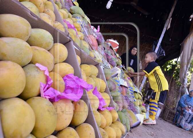 ازمة تصدير المانجو من مصر الى لبنان