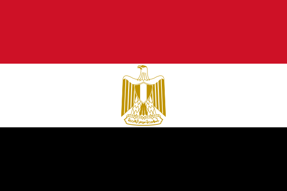 مصر تتأهل الى كأس العالم في روسيا  وتفوز كونغو 2-1