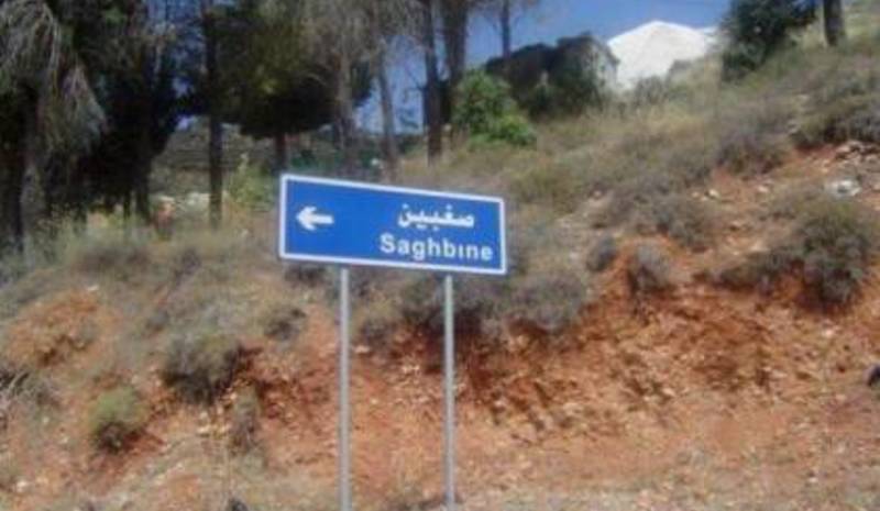 قداس الهي في رعية السيدة في صغبين بحضور باسيل وسامر غانم